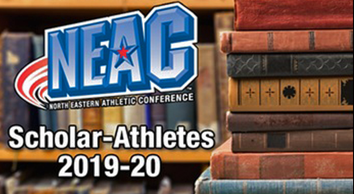Wells College Puts 66 on 2019-2020 NEAC Scholar-Athlete List