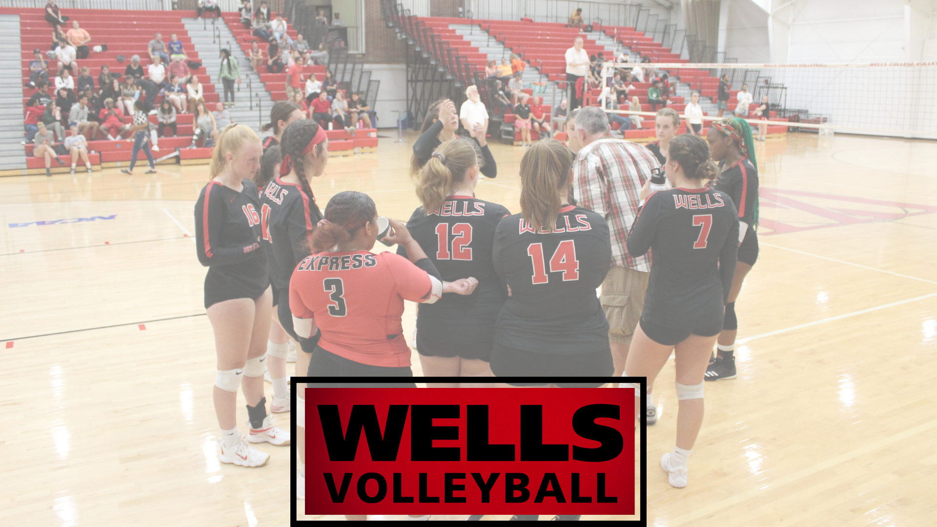 Women's Volleyball Wins Again At Home