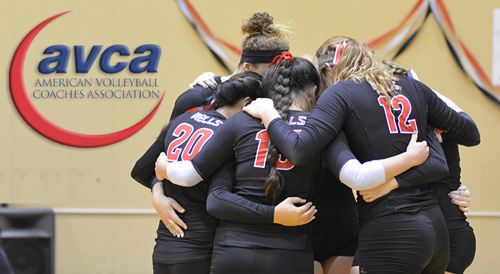Women's Volleyball Earns AVCA Team Academic Award