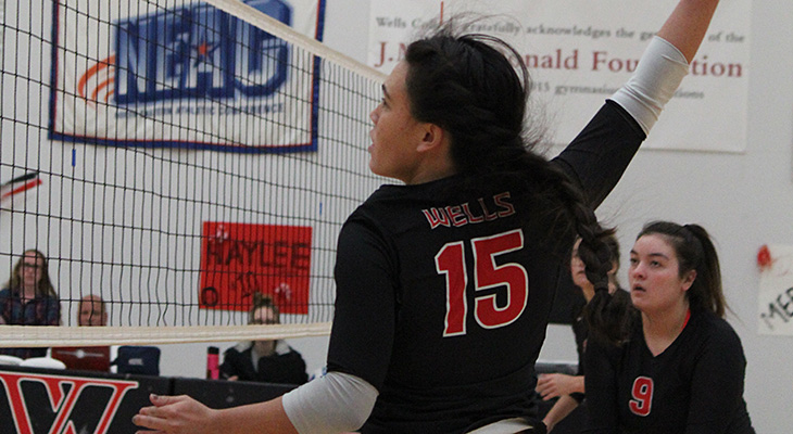 Women's Volleyball Splits Matches To Open 2017 Season