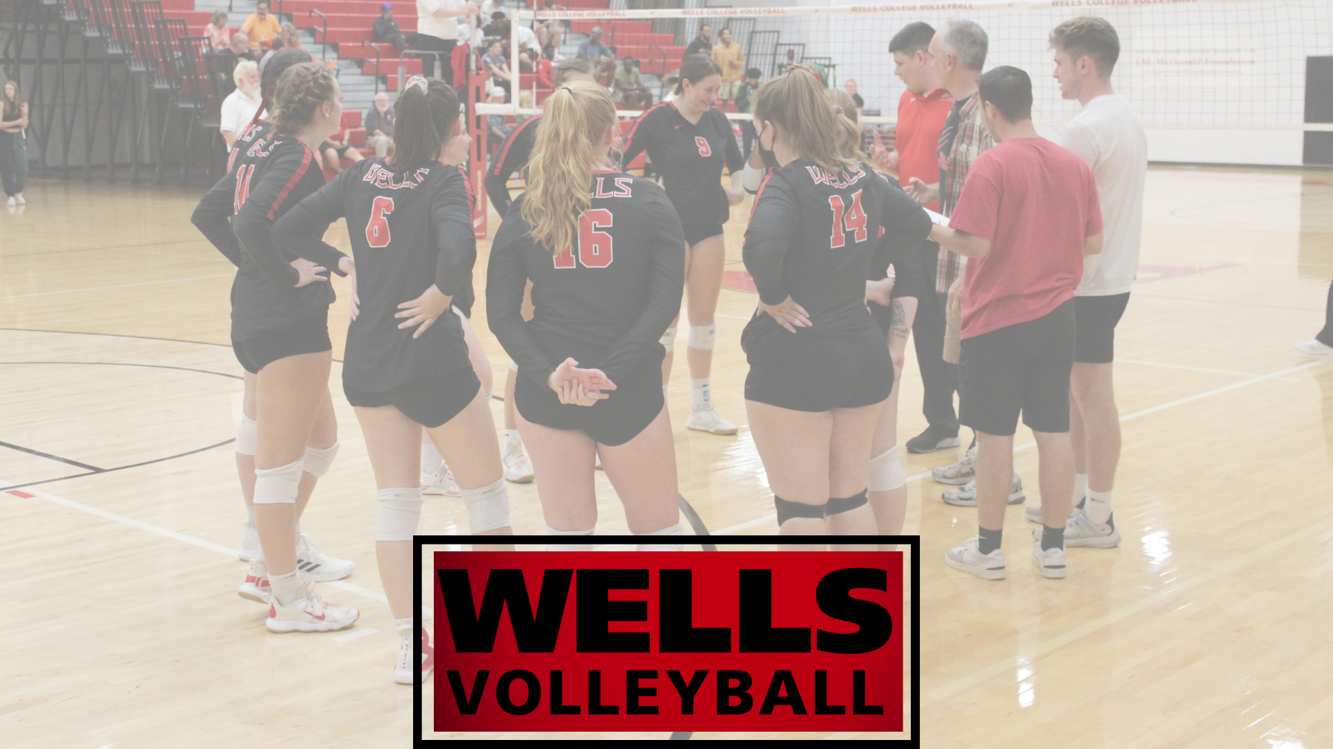 Women's vollelyball team