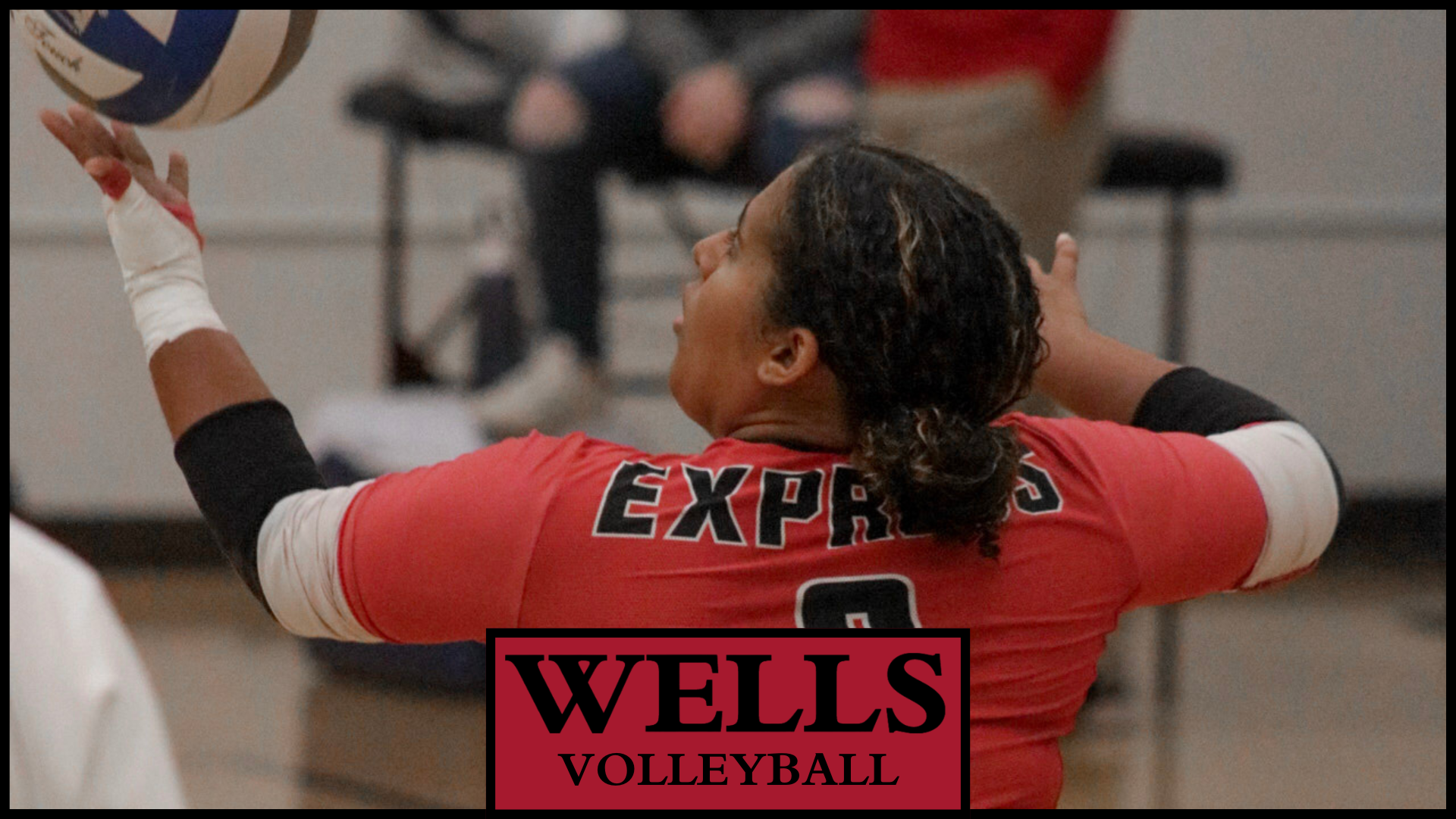 Women's Volleyball Sweeps The Wildcats